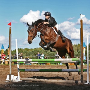 Fotomaximus_blog_IMG_0392, zdjęcia pięknych koni, skoki konne zawody fotograf